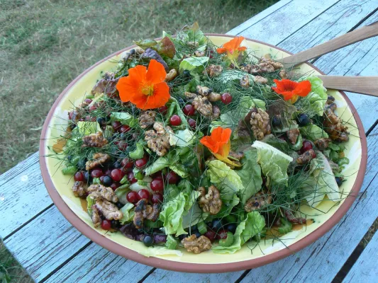 Sommersalat