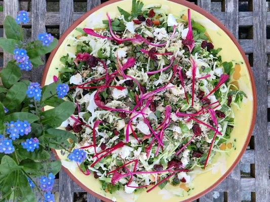 Spidskåls salat